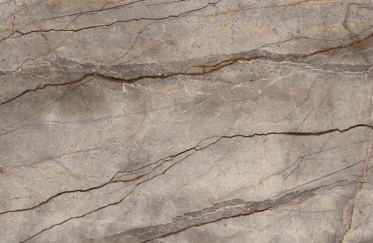 Silver Root